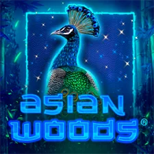 Asian Woods